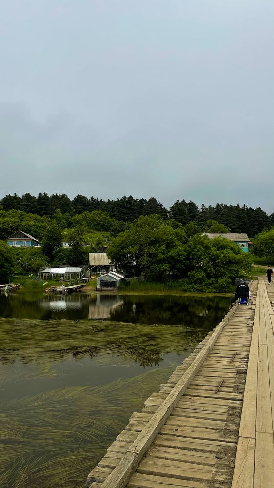 Фотография автора Елена Меньшикова