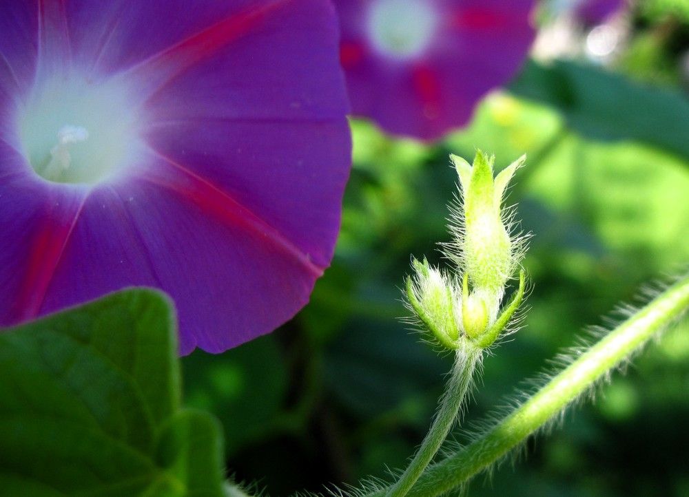 Photograph by Viktoriia Rusanova