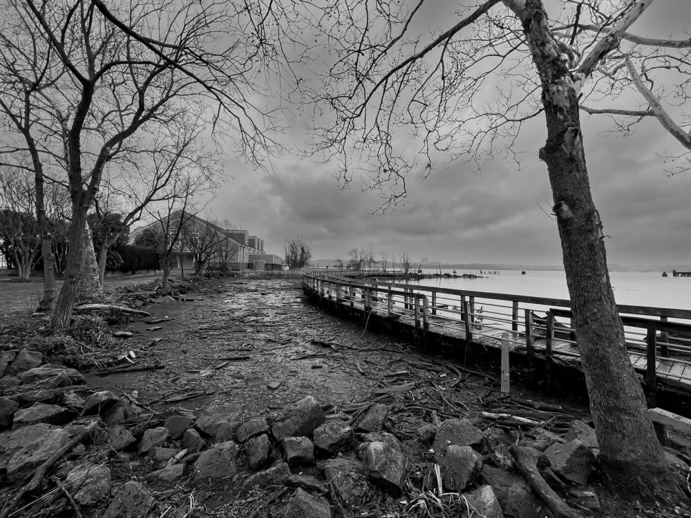 Photograph by Can O. Gunay