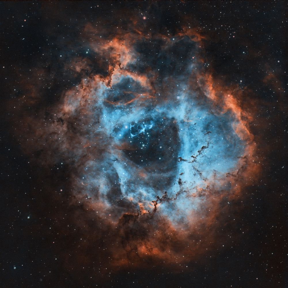 Rosette Nebula