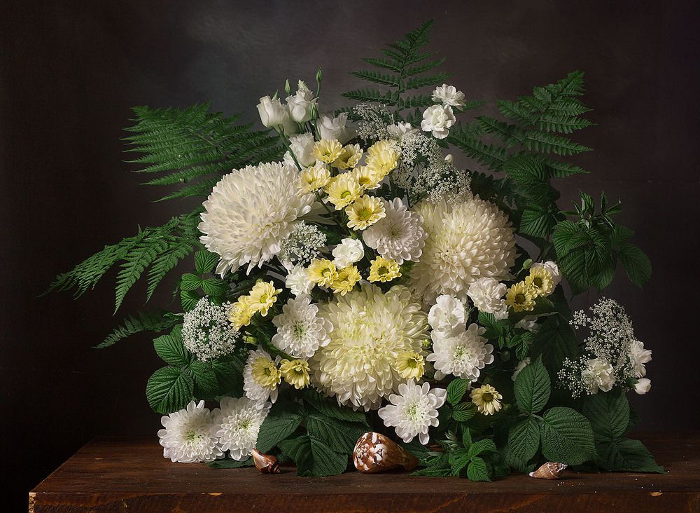 Фотография автора Алина Ланкина