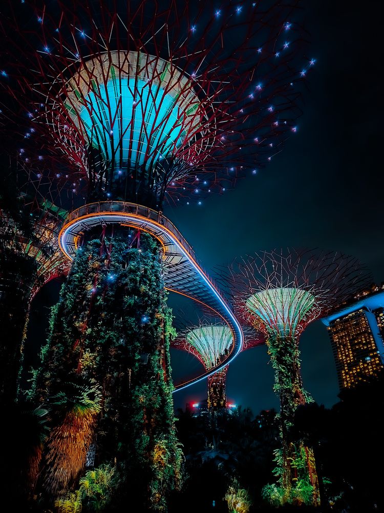 Photograph by Elisa Condrea