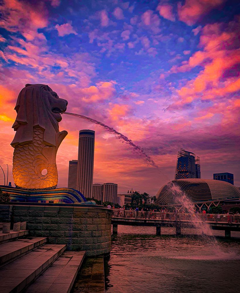 Photograph by Elisa Condrea