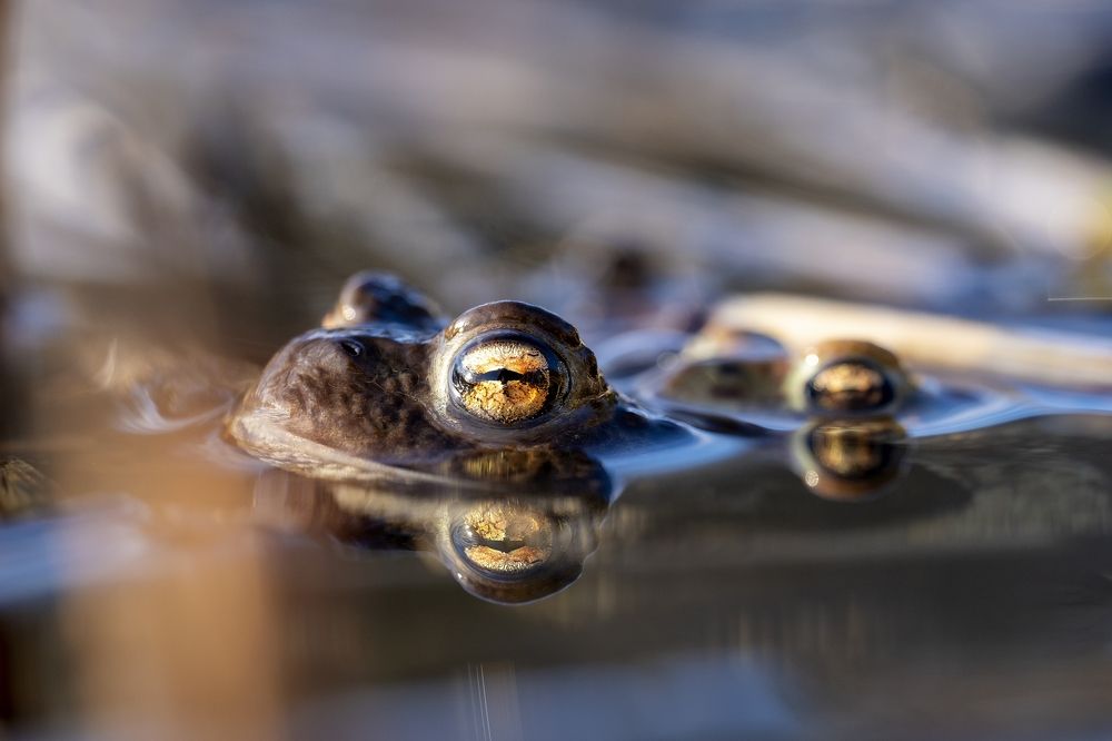 Photograph by Piotr Socha