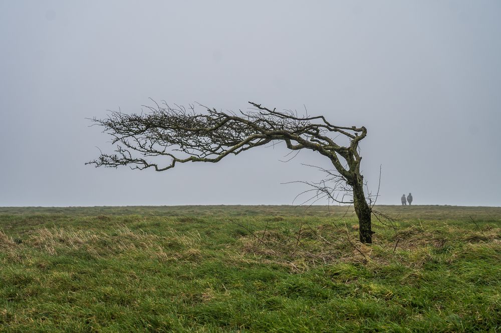 Photograph by Veslava Kaslej