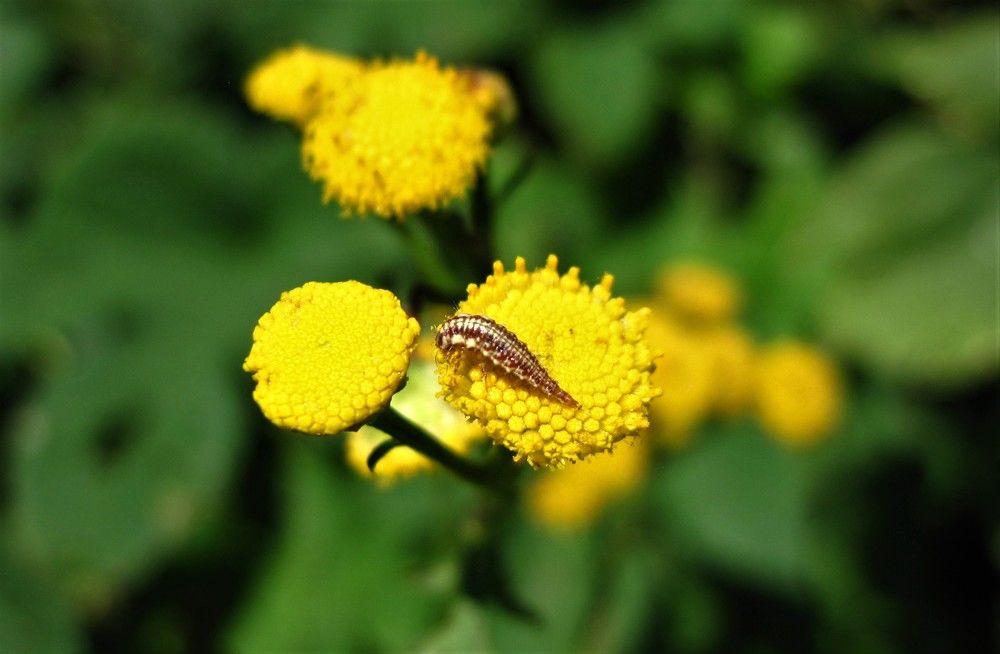 Photograph by Viktoriia Rusanova