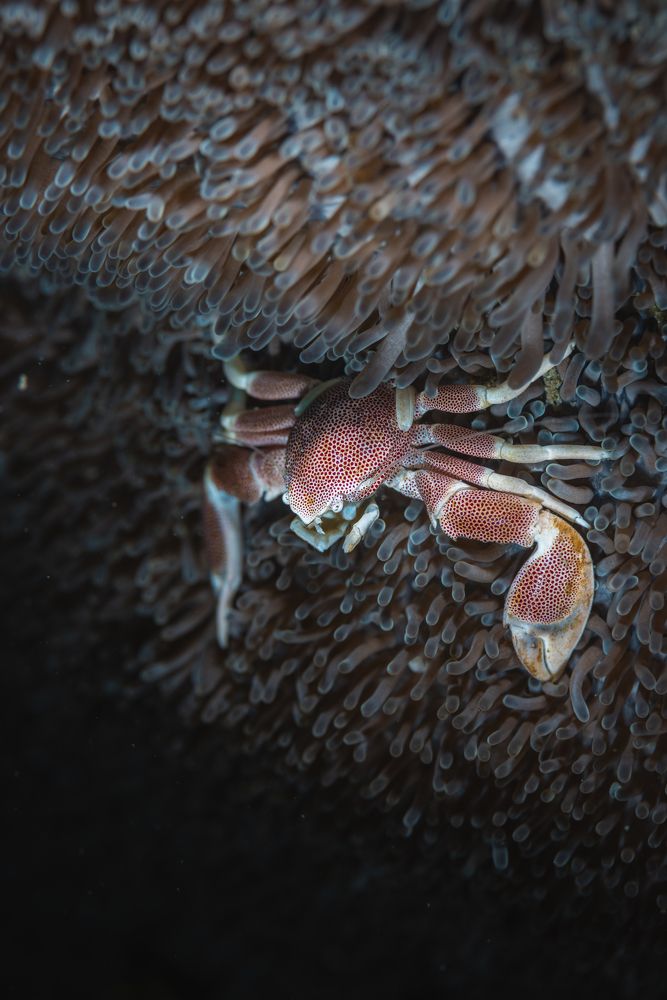 Photograph by Juan Camilo Mora Parra