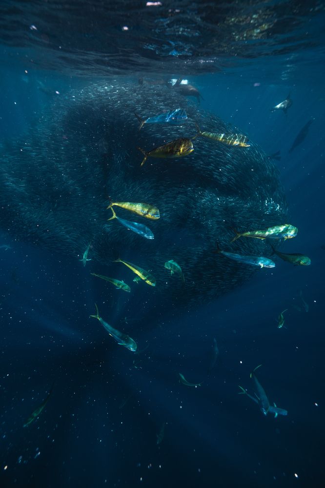 Photograph by Juan Camilo Mora Parra