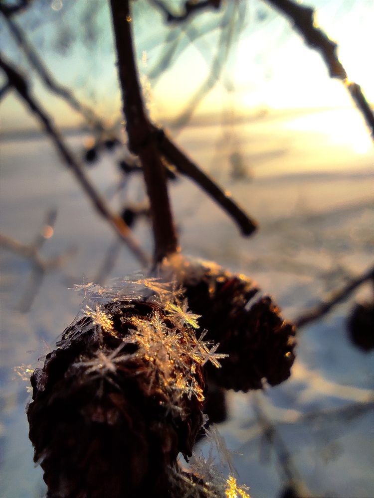 Photograph by Светлана Башаева