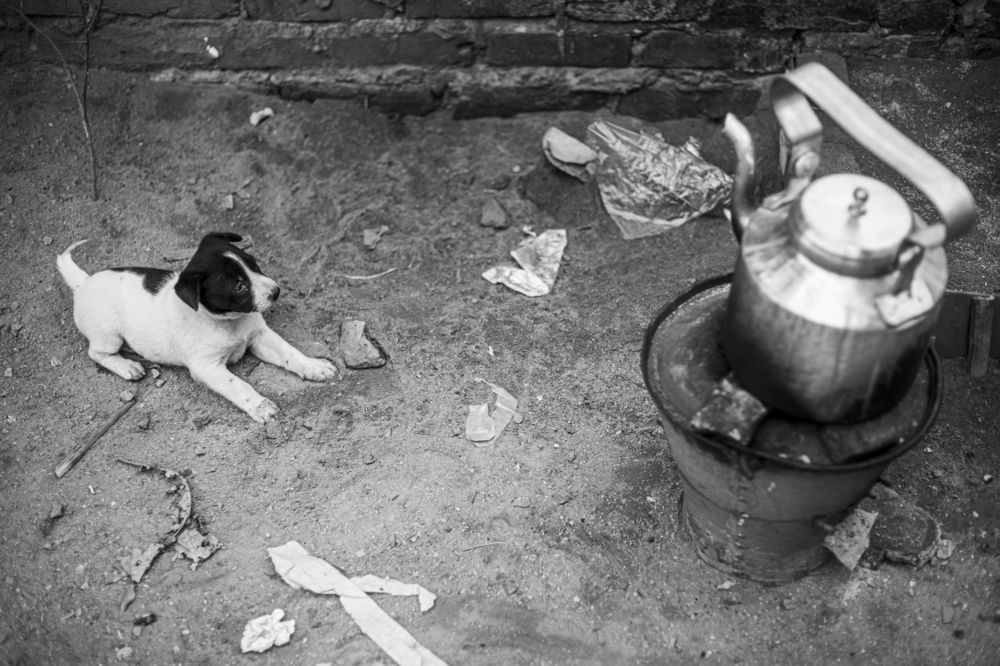 Photograph by Salammon Sakifur Rahman