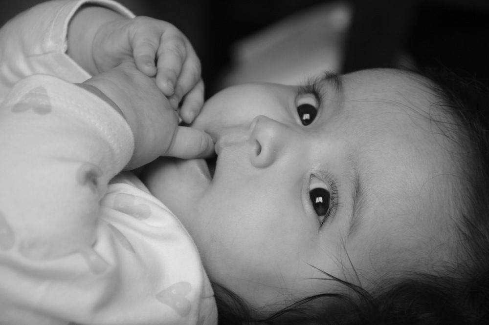 Photograph by Sepide Moazez