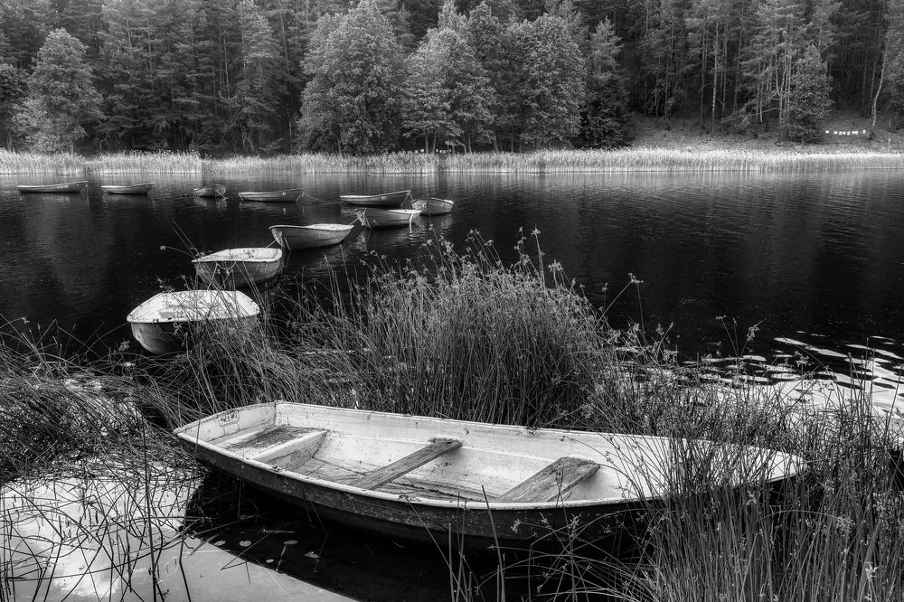 Photograph by Janis Serdienis