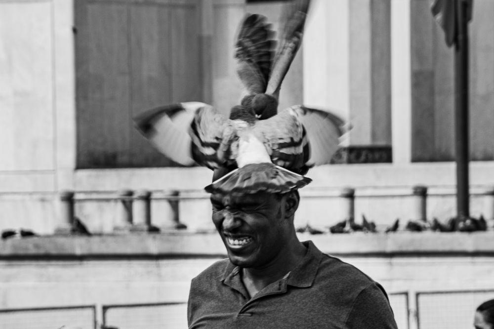 Photograph by erick coradine