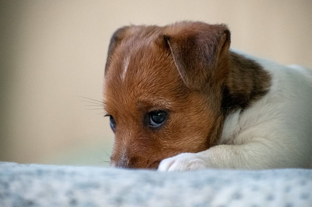 Photograph by Надежда Мерзликина