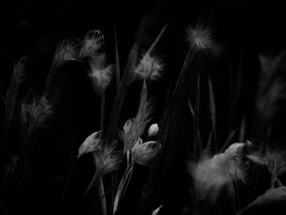 Photograph by Mariana Magalhães