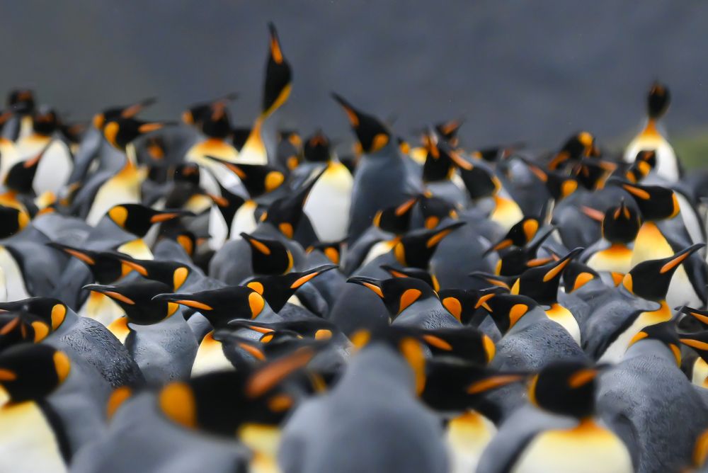 Photograph by Plaza Pamela