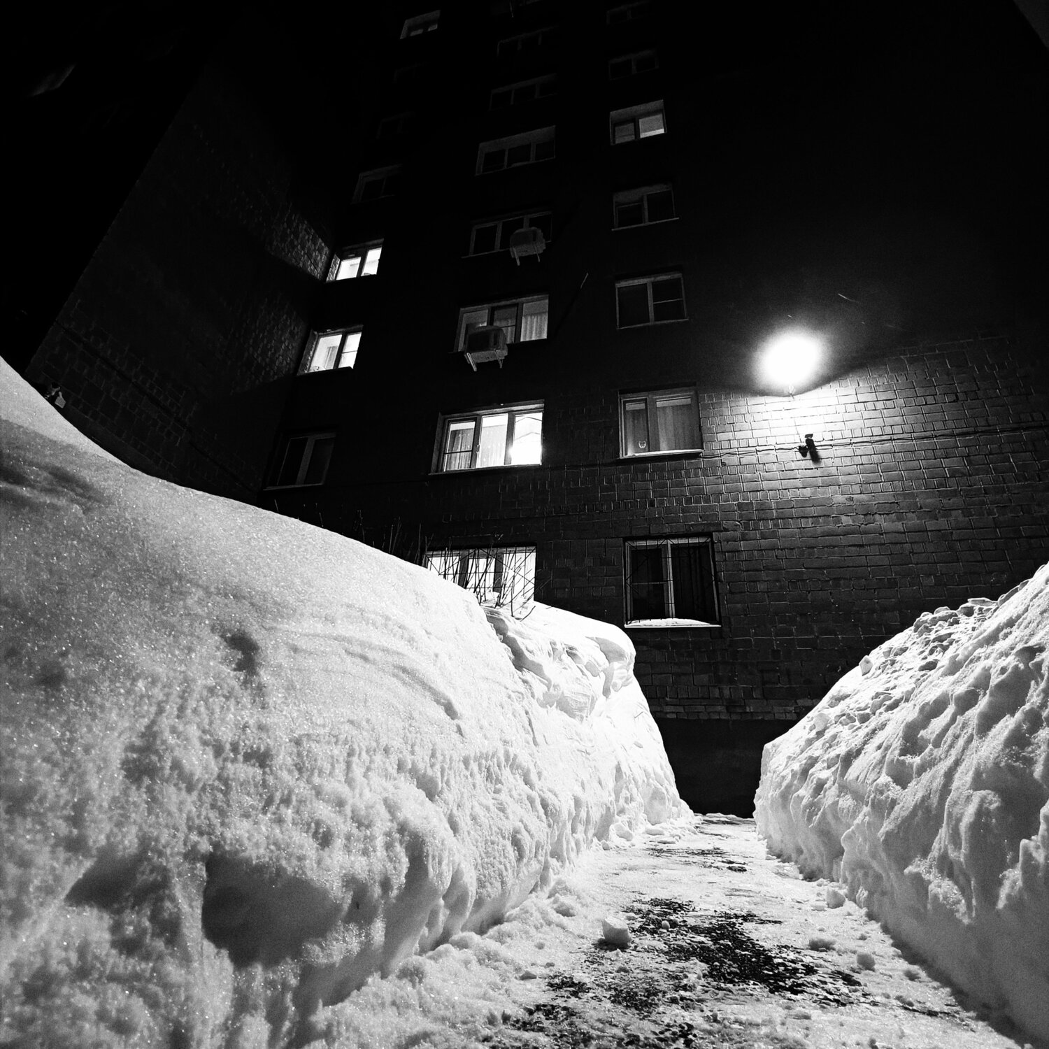 Photo #10359017