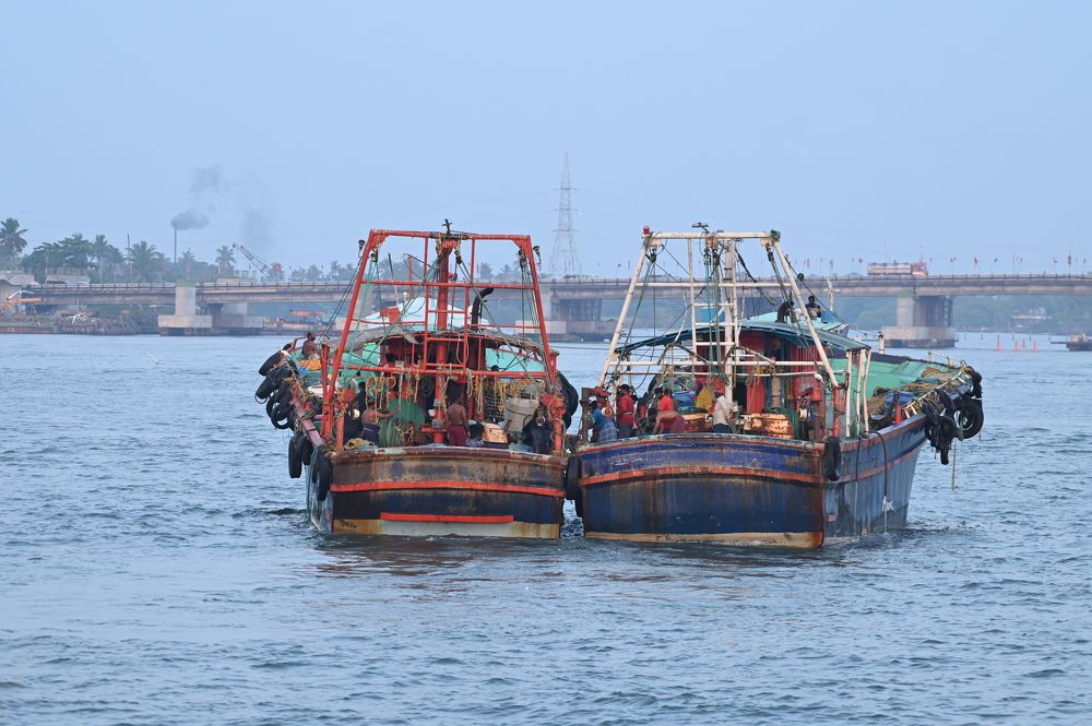 Photograph by Febin Francis