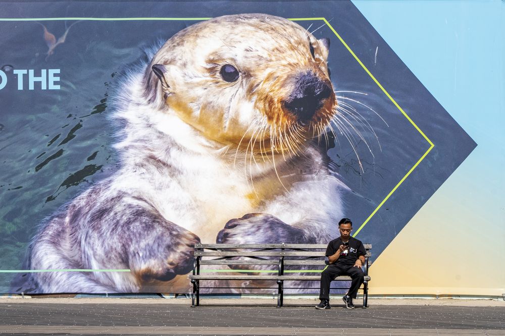 Photograph by David Bueno