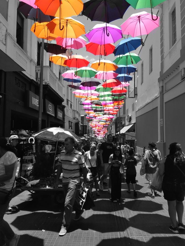 Photograph by Mônica Rodrigues