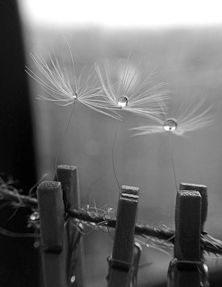 Утра тихий шёпот.