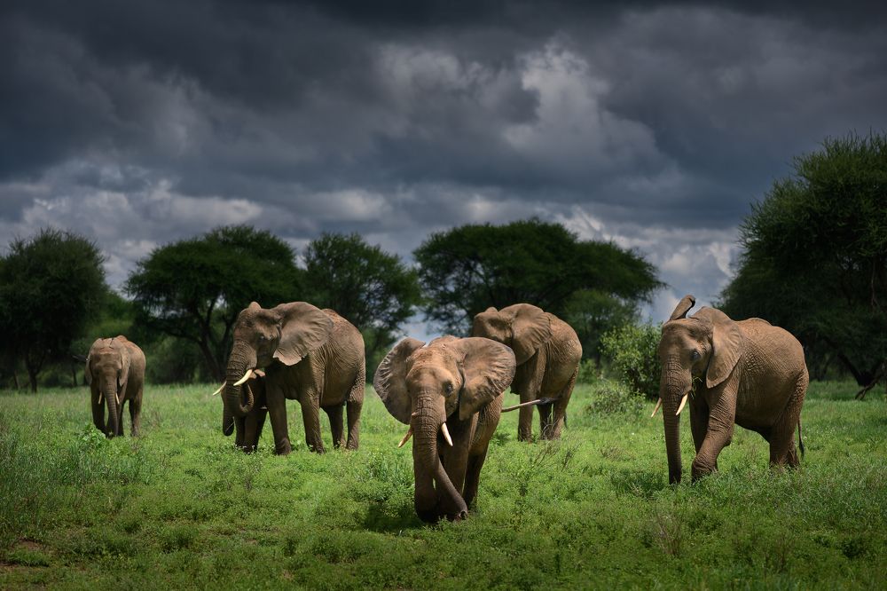 Фотография автора Luis Arpa