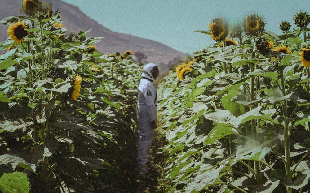 Фотография автора Gibrán Ramos