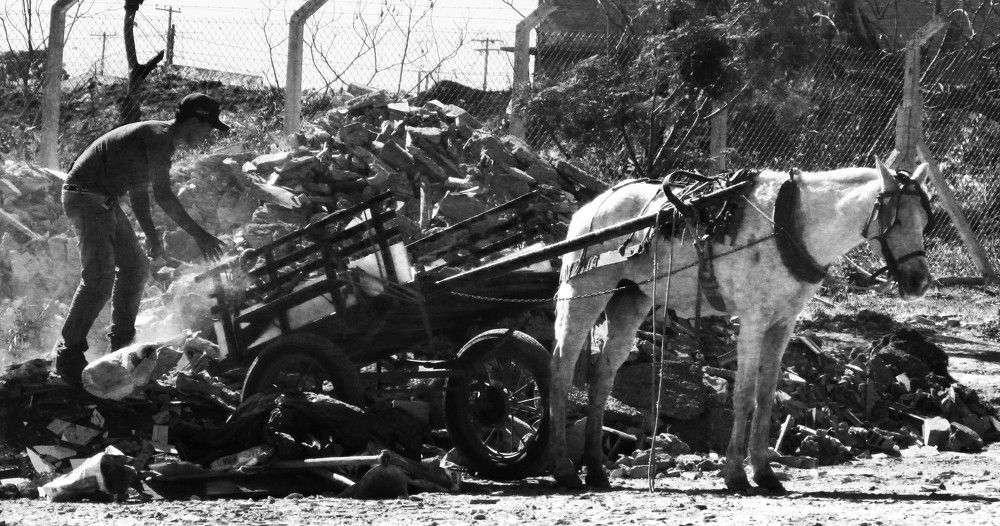 Photograph by Régis Santos