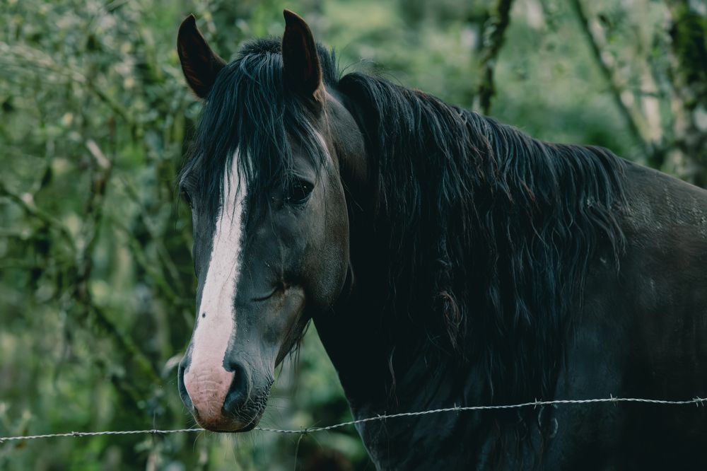 Photograph by Valmir Fernando da Silva