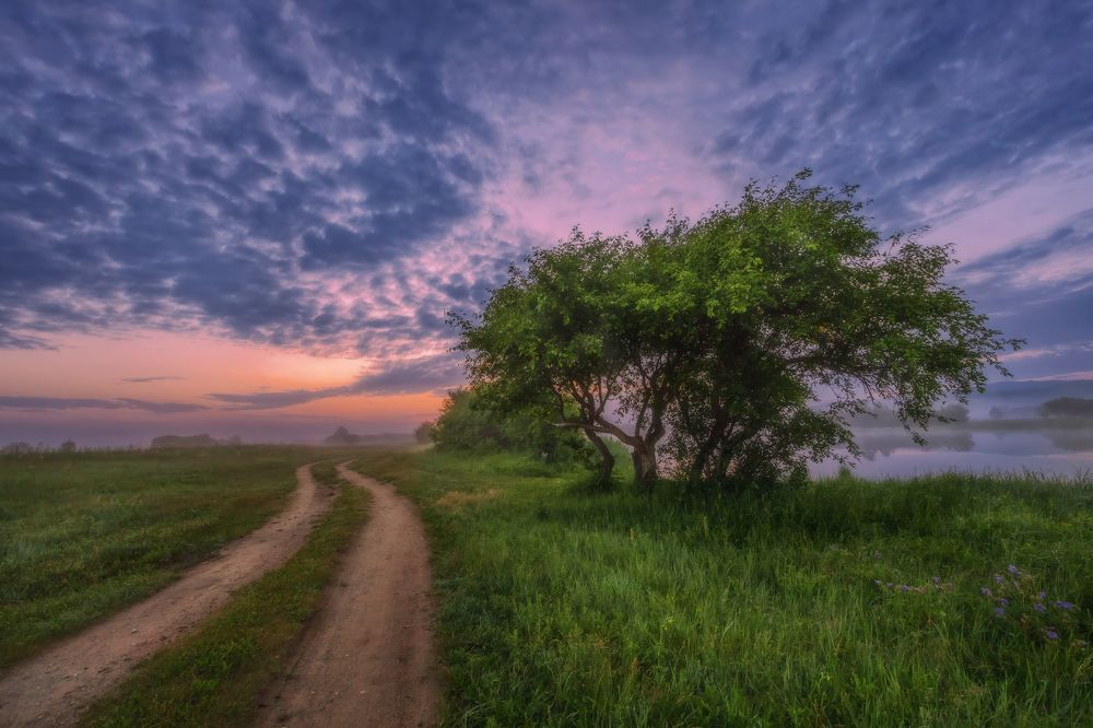 Photograph by Владимир Климов