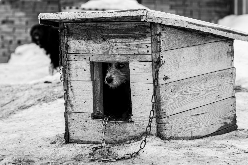 Photograph by Елена Берсенёва