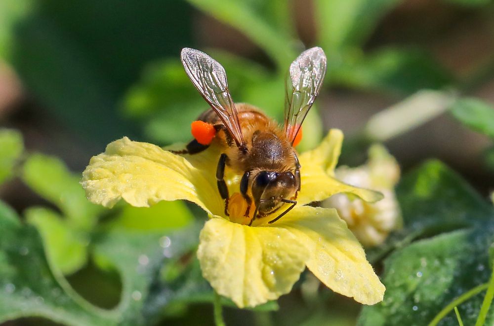 Photograph by Frank cobo blanco