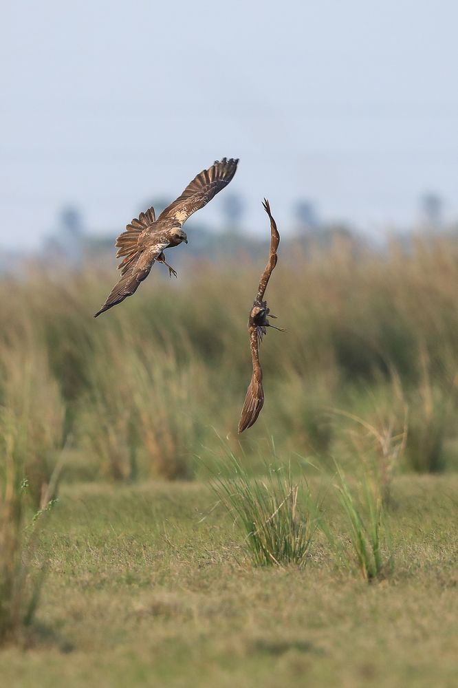 Photograph by Ajay A.D