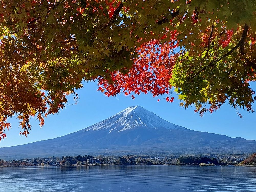 Фотография автора jc tan