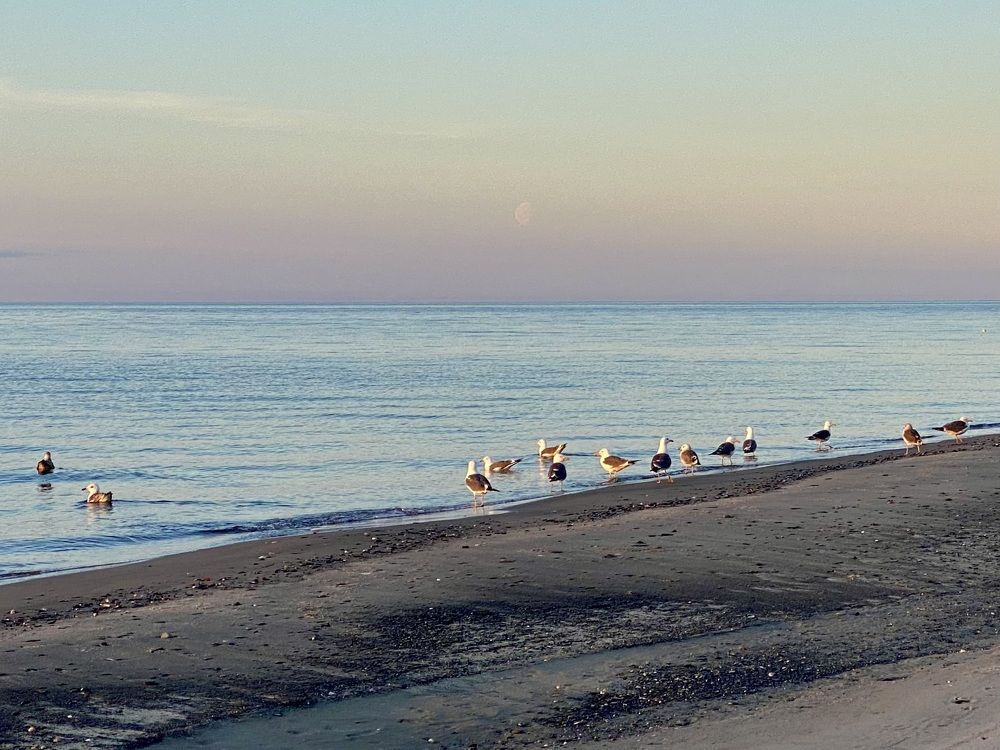 Photograph by Ирина Коваль