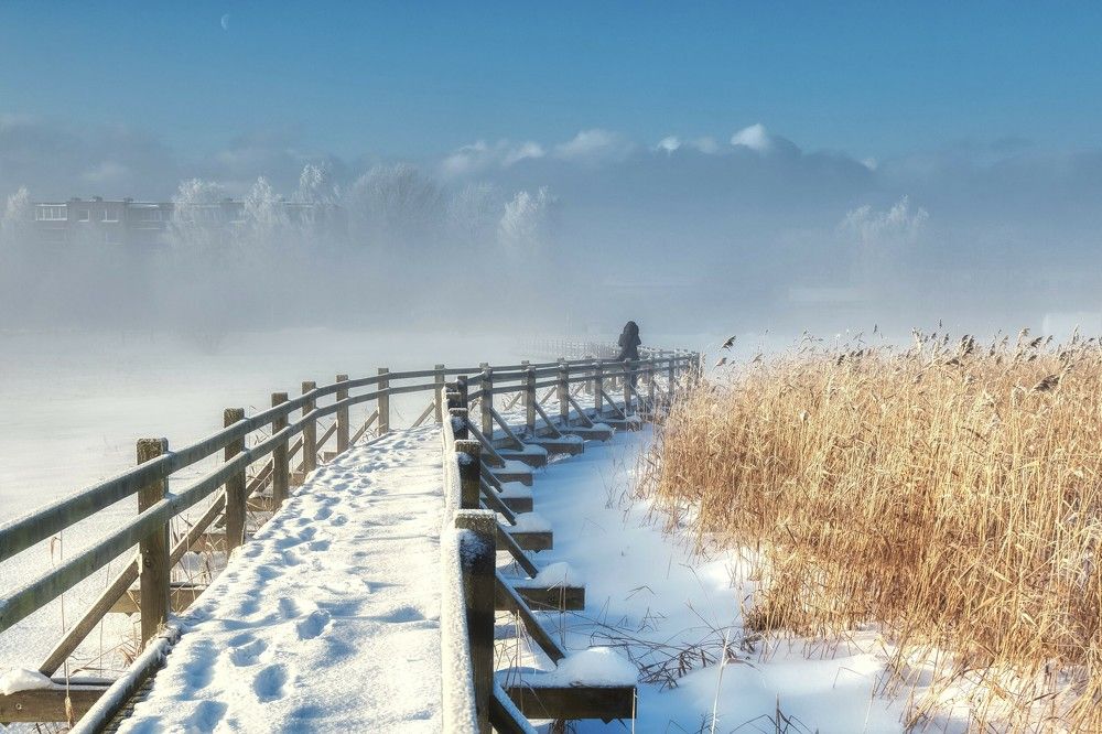 Photograph by Janis Serdienis