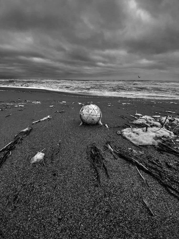 Фотография автора Бороненков Вадим