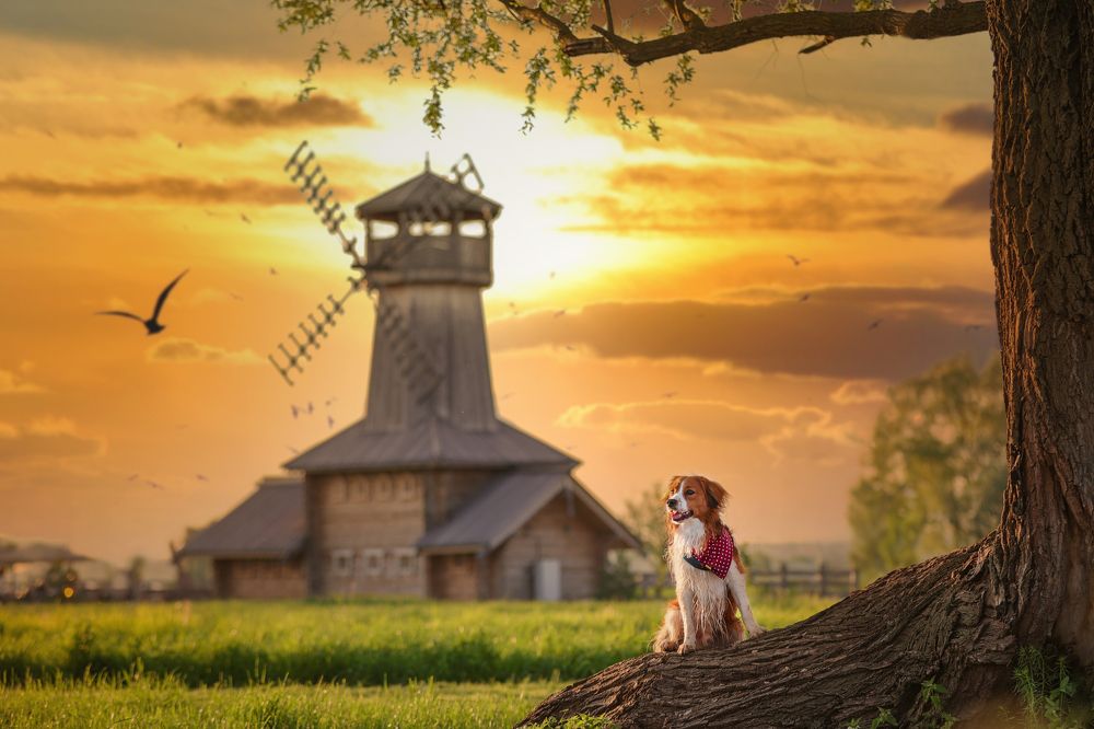 Photograph by Ирина Андреева