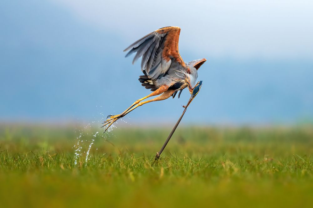 Photograph by Kalyan Acharya