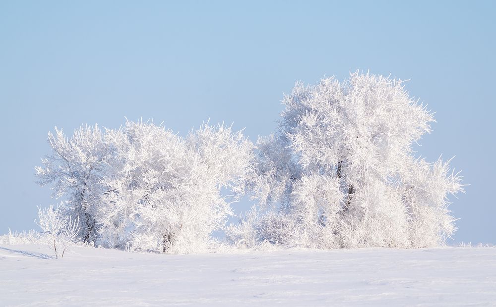 Photograph by Игорь Кляхин