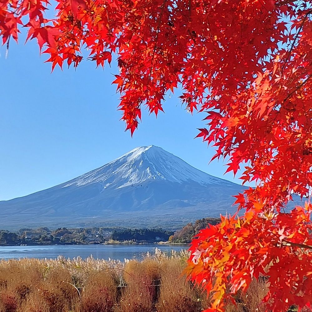 Фотография автора jc tan