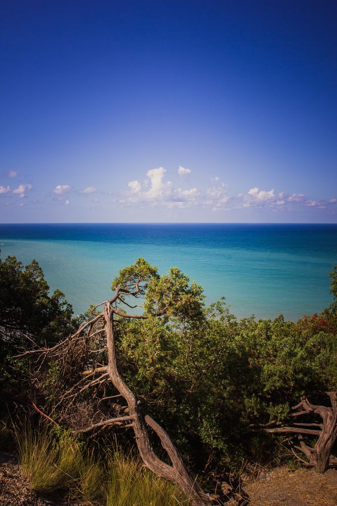 Photograph by Филипп Бабенко