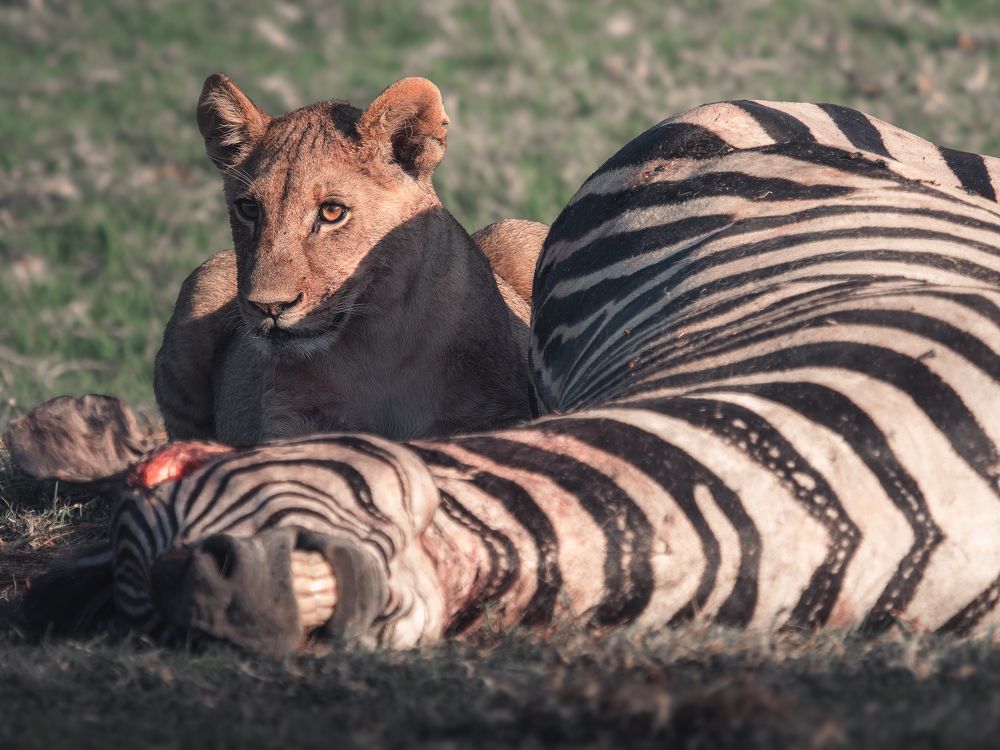 Photograph by Juan Álvarez