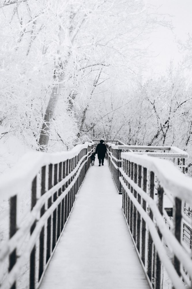 Photograph by Наталья