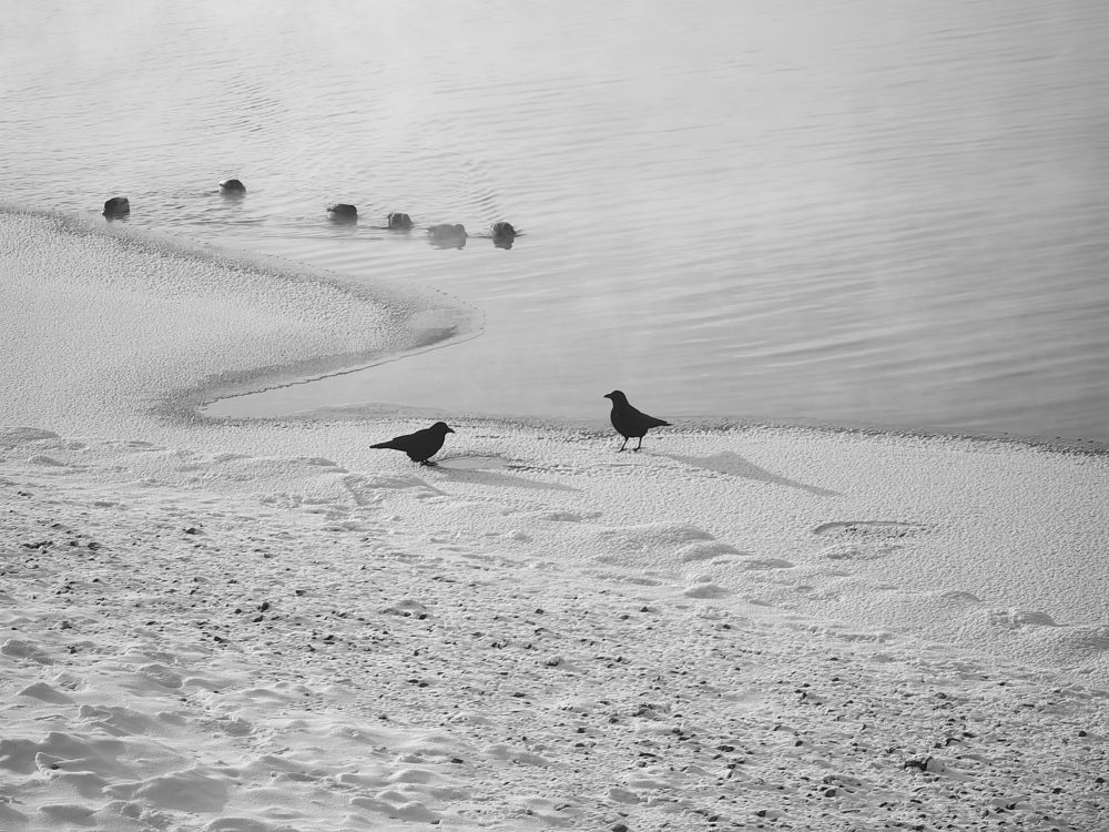 Photograph by Александр Вихарев