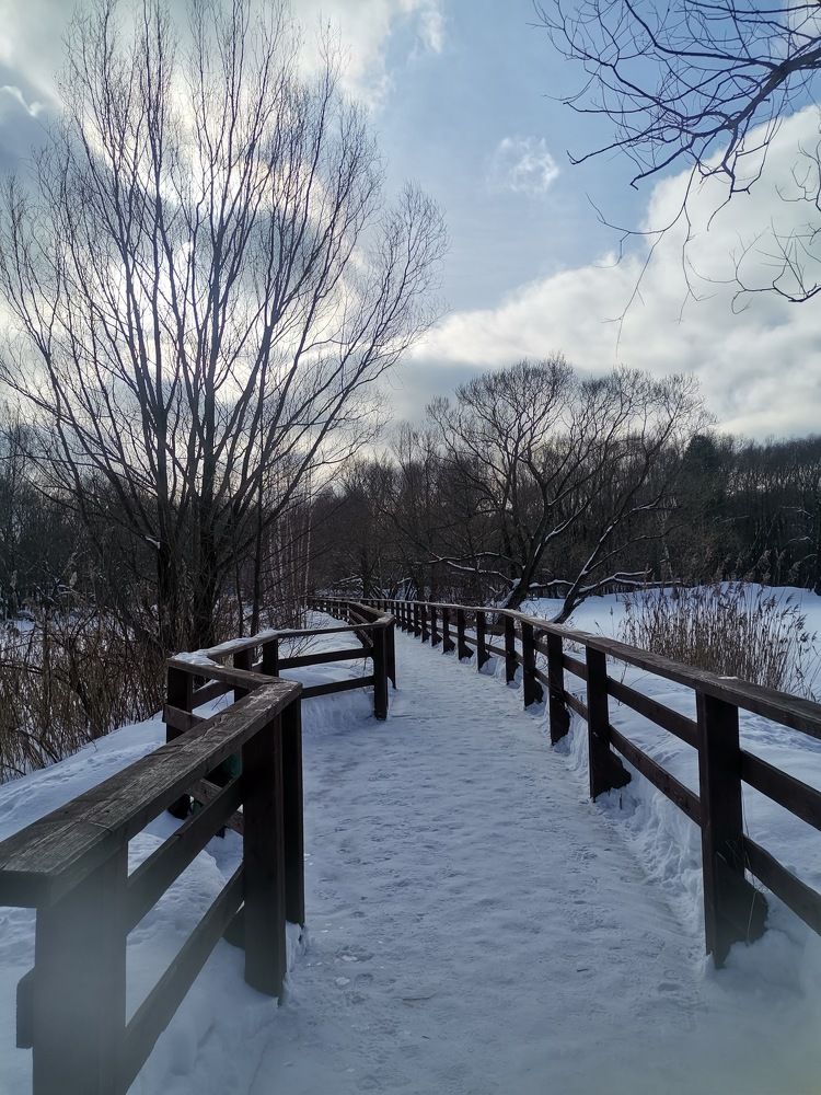 Photograph by Ирина Садовникова