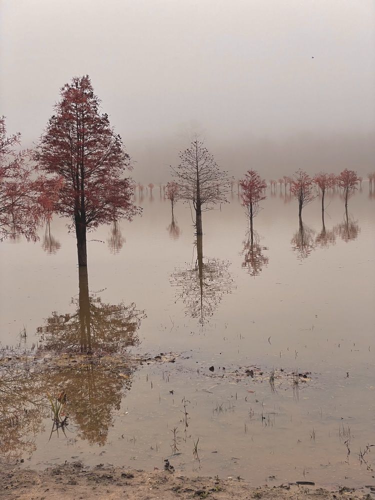 Mobile nature photography