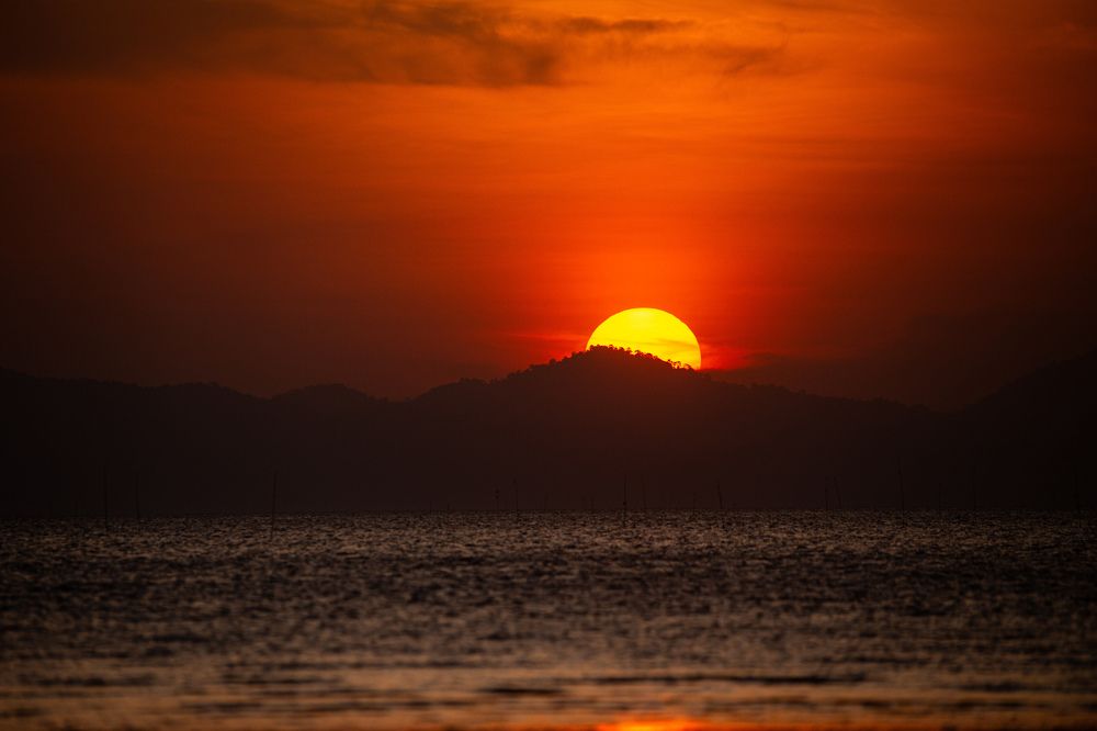 Photograph by Asyraf Muhammmad