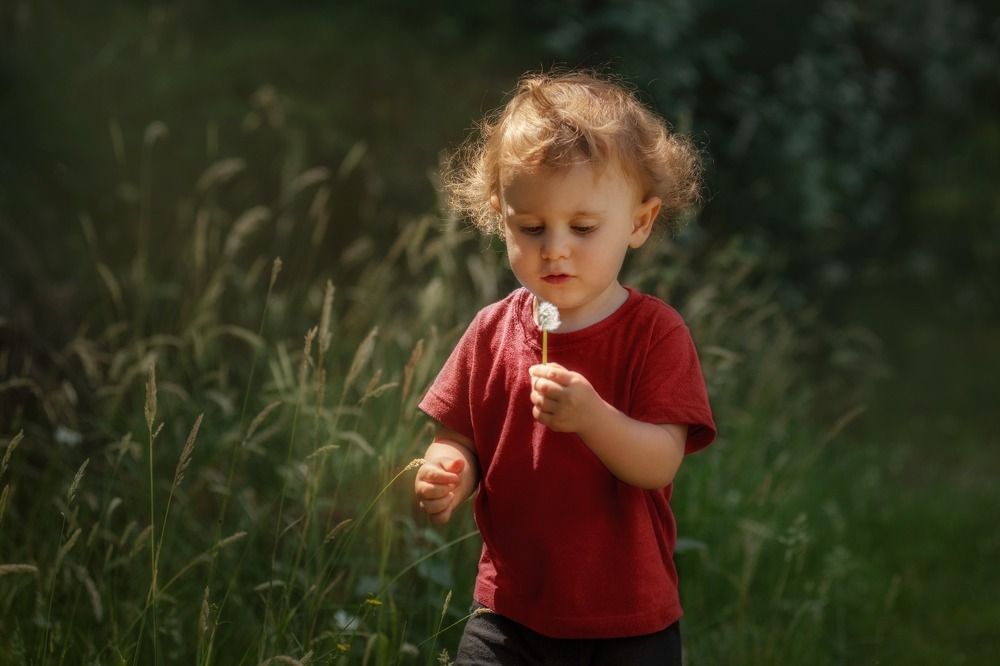 Фотография автора NORMA SÁENZ