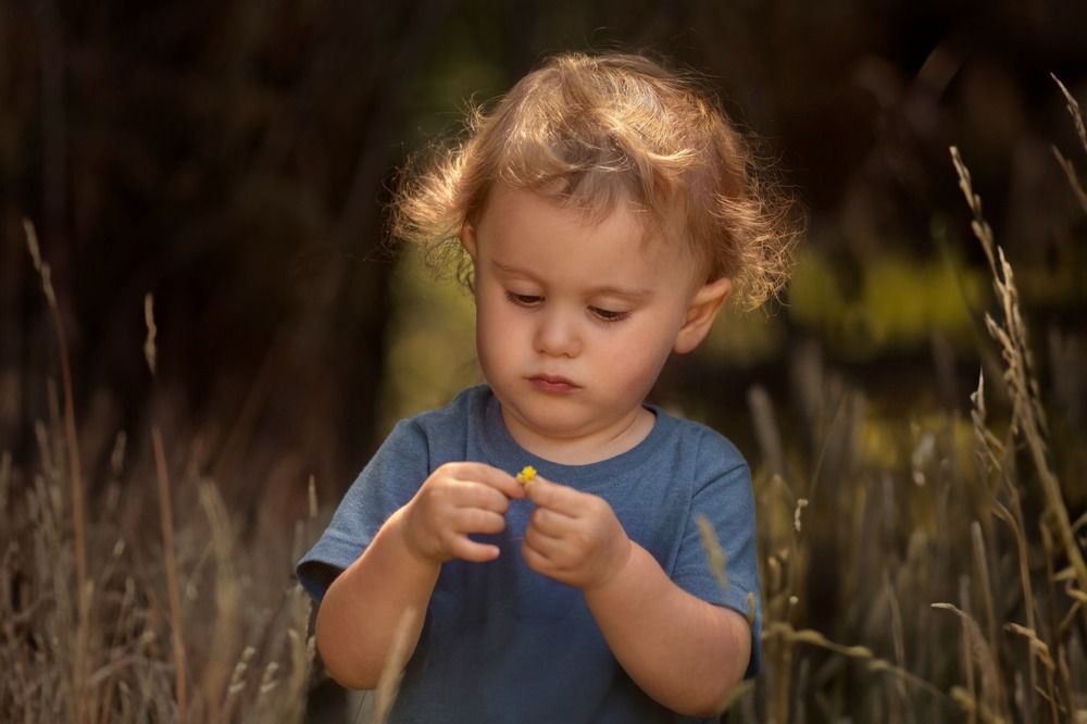 Фотография автора NORMA SÁENZ